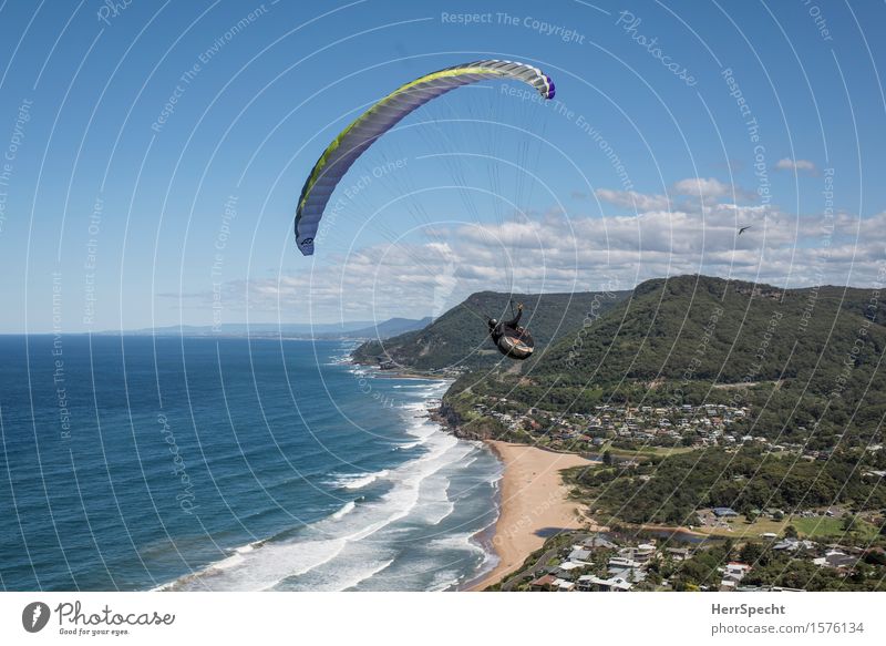 Stanwell Park with paraglider Funsport Extremsport Gleitschirmfliegen Mensch Mann Erwachsene 1 30-45 Jahre Natur Landschaft Himmel Wolken Sommer Schönes Wetter