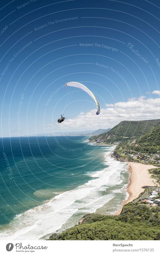 Stanwell Park with paraglider Sport Sportler Funsport Extremsport Gleitschirm Gleitschirmfliegen 1 Mensch 30-45 Jahre Erwachsene Natur Landschaft Himmel Wolken