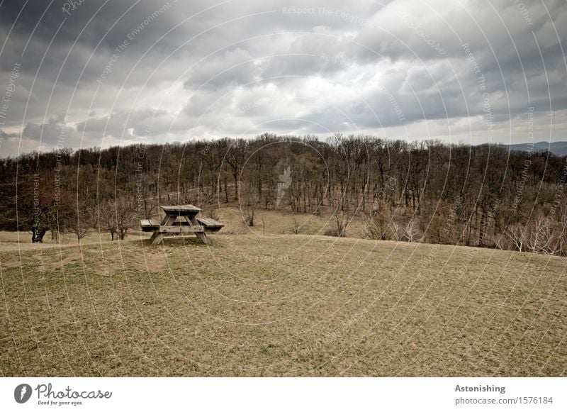 ein trüber Tag im Lainzer Tiergarten Umwelt Natur Landschaft Pflanze Luft Himmel Wolken Gewitterwolken Horizont Frühling Wetter schlechtes Wetter Unwetter Baum