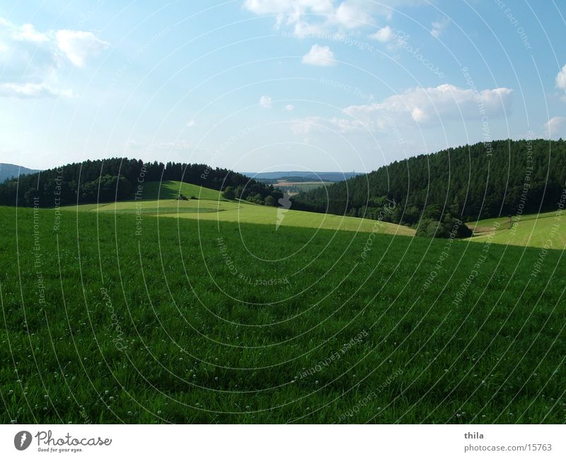 Grün, grüner ... Sauerland Wiese Feld Hügel Sommertag Berge u. Gebirge Himmel Ferne