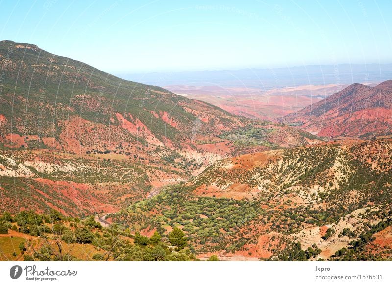 Afrika gemahlener Baum und niemand Tourismus Sommer Berge u. Gebirge Natur Landschaft Pflanze Sand Himmel Klima Hügel Felsen Oase Gebäude Stein rot Farbe Dades