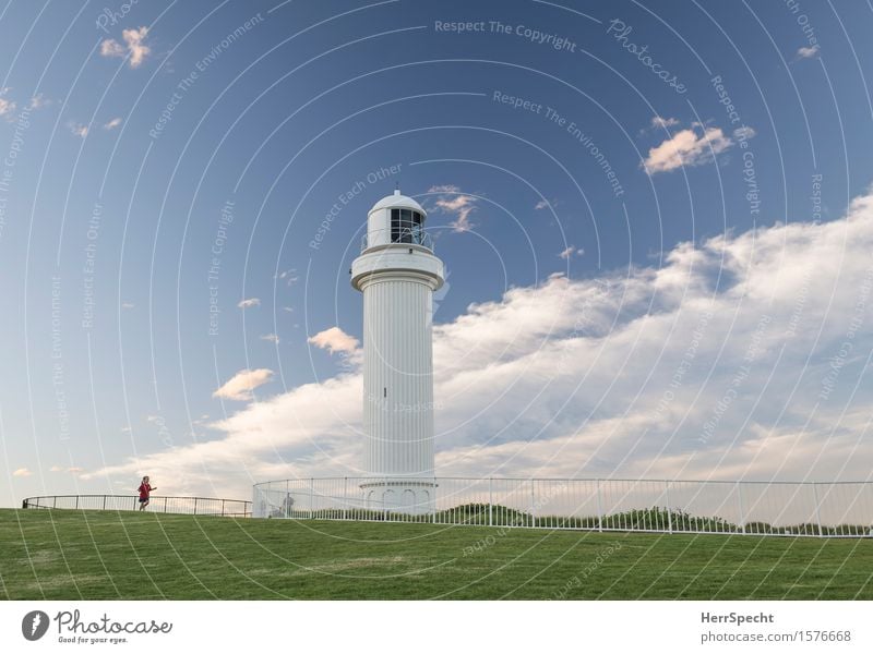 To the lighthouse Ferien & Urlaub & Reisen Ausflug Sommer Kind Mädchen 1 Mensch 3-8 Jahre Kindheit Landschaft Küste Wollongong Illawarra New South Wales