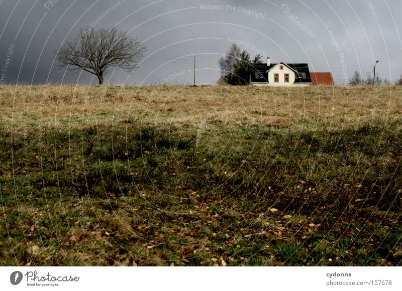 Grau. Herbst Himmel Haus Strommast Landschaft Idylle Jahreszeiten Baum Vergänglichkeit Häusliches Leben schön ästhetisch Natur Wiese grau Wetter