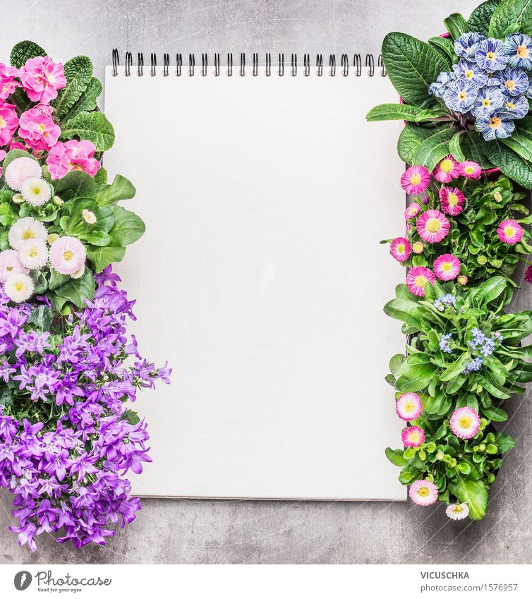 Notizblock mit Gartenblumen in Töpfen auf Stein Hintergrund Stil Design Freizeit & Hobby Sommer Dekoration & Verzierung Tisch Studium lernen Gartenarbeit