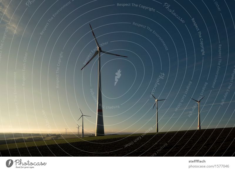 Windernte am Morgen Energiewirtschaft Technik & Technologie Erneuerbare Energie Windkraftanlage Umwelt Landschaft Erde Luft Himmel Sonnenaufgang Sonnenuntergang