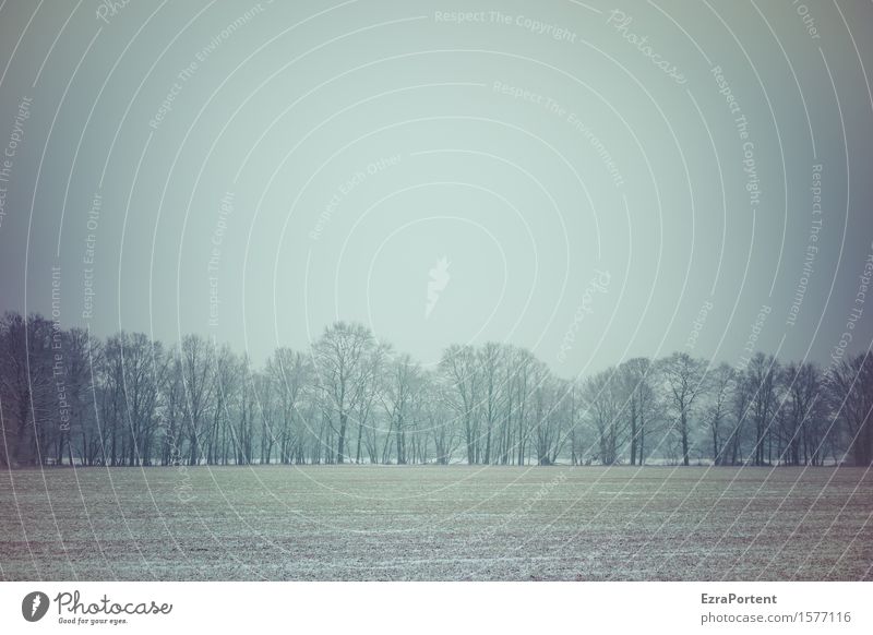 heute 23°C - mit Sahara-Staub Umwelt Natur Landschaft Himmel Frühling Winter Klima Klimawandel Eis Frost Schnee Baum Feld Wald kalt trist Farbfoto