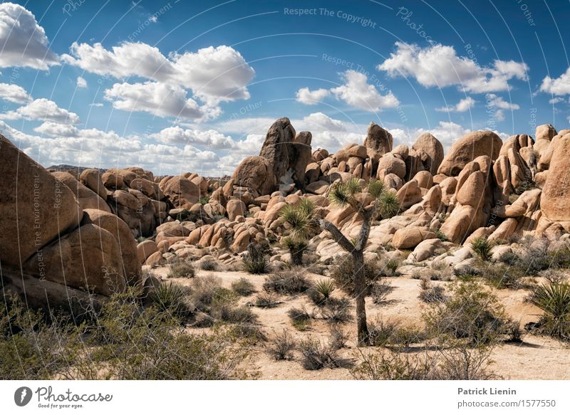 100 Degrees schön Ferien & Urlaub & Reisen Abenteuer Ferne Expedition Sommer Berge u. Gebirge Umwelt Natur Landschaft Pflanze Himmel Wolken Horizont Sonne Klima