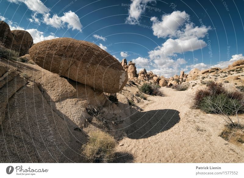 Desert Solitaire schön Wellness Leben harmonisch Wohlgefühl Ferien & Urlaub & Reisen Abenteuer Expedition Sommer Berge u. Gebirge Umwelt Natur Landschaft Himmel