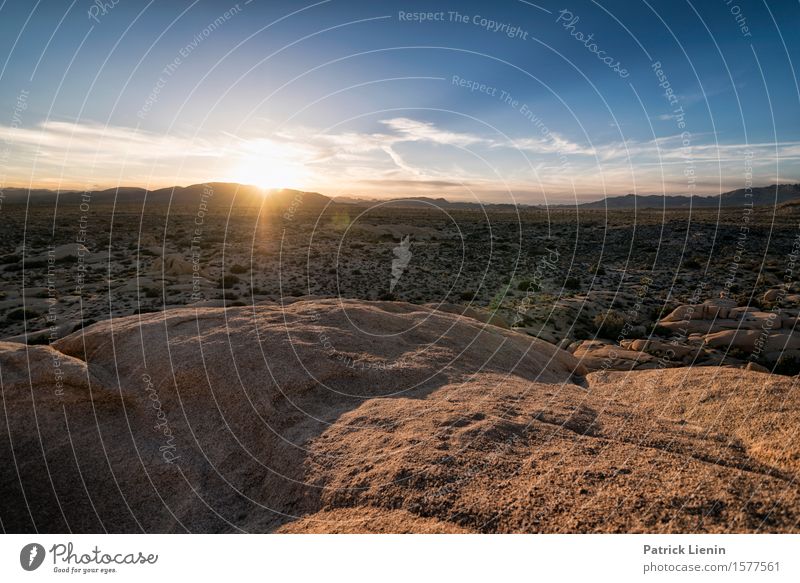 Joshua Tree National Park schön Ferien & Urlaub & Reisen Abenteuer Ferne Expedition Sommer Sonne Berge u. Gebirge Umwelt Natur Landschaft Urelemente Erde Himmel