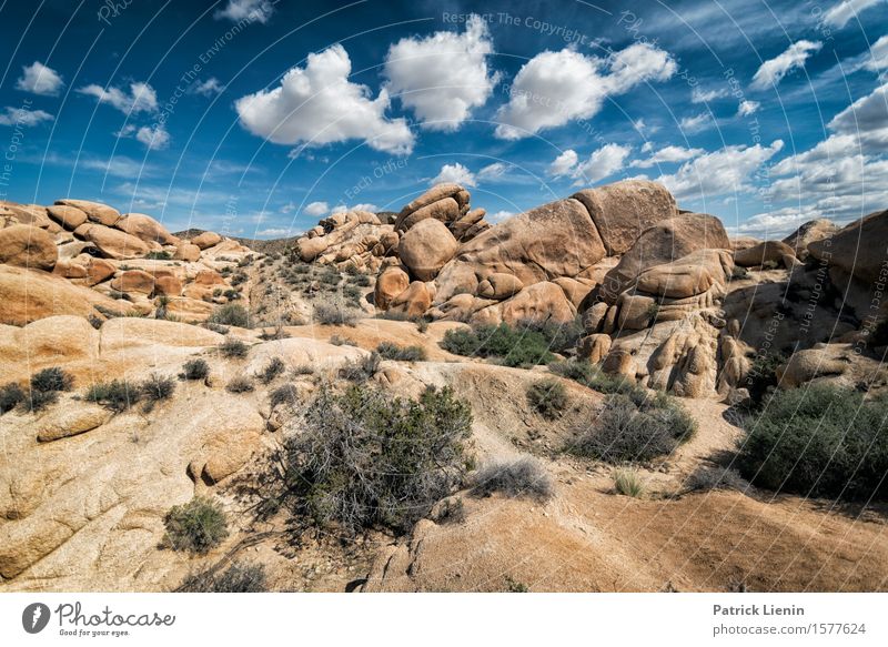 Joshua Tree National Park schön Ferien & Urlaub & Reisen Abenteuer Ferne Expedition Sommer Berge u. Gebirge Umwelt Natur Landschaft Pflanze Urelemente Erde Sand