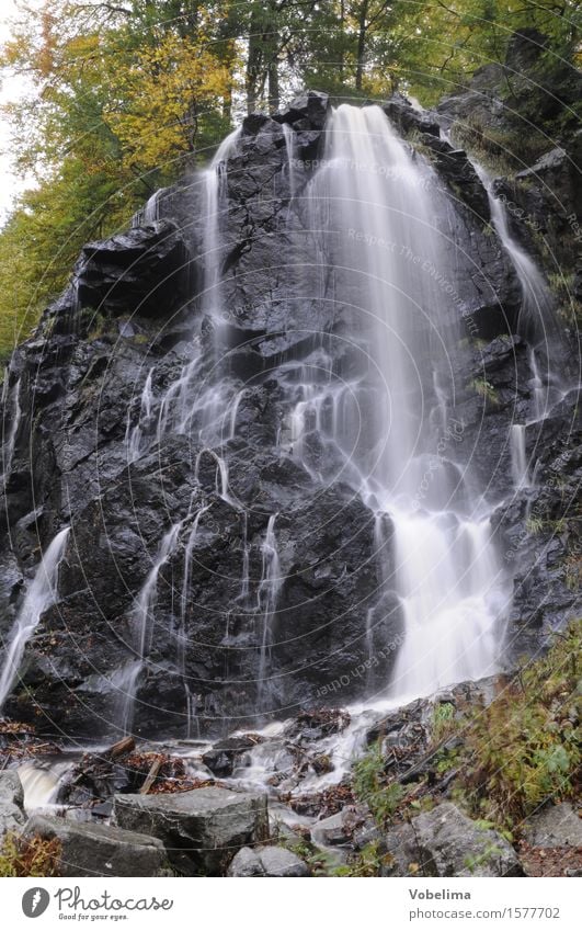 Radau-Wasserfall Natur Landschaft Herbst Bach braun grau grün schwarz weiß Radau Wasserfall bad harzburg Wildbach Farbfoto Außenaufnahme Tag