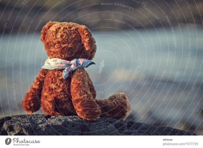 Teddy Per macht Urlaub (13) Ferien & Urlaub & Reisen Ausflug Ferne Sommerurlaub Sonnenbad Wasser Küste Meer Teddybär Stofftiere Blick sitzen Glück klein braun