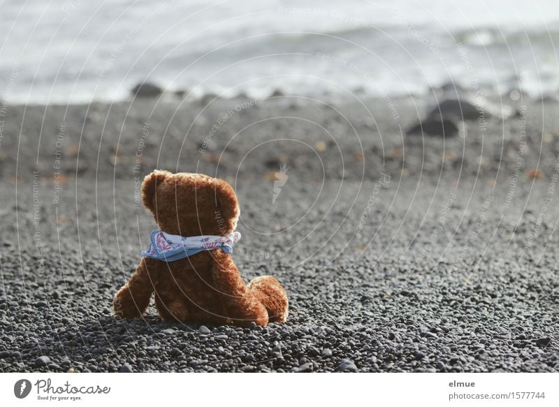 Teddy Per macht Urlaub (18) Wellness Erholung Ferien & Urlaub & Reisen Sommerurlaub Sonnenbad Küste Strand Teddybär Stofftiere Blick sitzen kuschlig klein