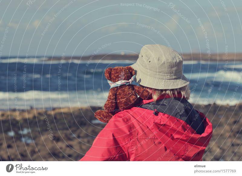 Teddy Per macht Urlaub (20) Ferien & Urlaub & Reisen Ausflug Ferne Sommerurlaub Frau Erwachsene Schönes Wetter Wind Felsen Wellen Küste Meer Teddybär Jacke Hut