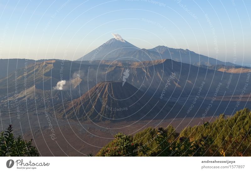 Zwei aktive Vulkane in Java, Indonesien Natur Landschaft Erde Sand Feuer Schönes Wetter Berge u. Gebirge Gipfel Bromo Semeru Insel Abenteuer Asien Rauchwolke