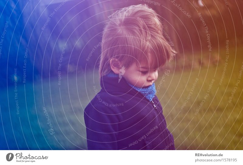 eiersuche Kind Kleinkind 1 Mensch 1-3 Jahre klein Kindheit Wind Garten Frühling unterwegs Suche entdecken Konzentration Farbfoto Außenaufnahme Experiment