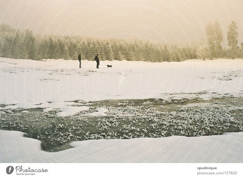 Frieden. Winter Schnee Feld weiß Wiese Wald Wasser frieren gefroren Eis Nebel Winterwald kalt