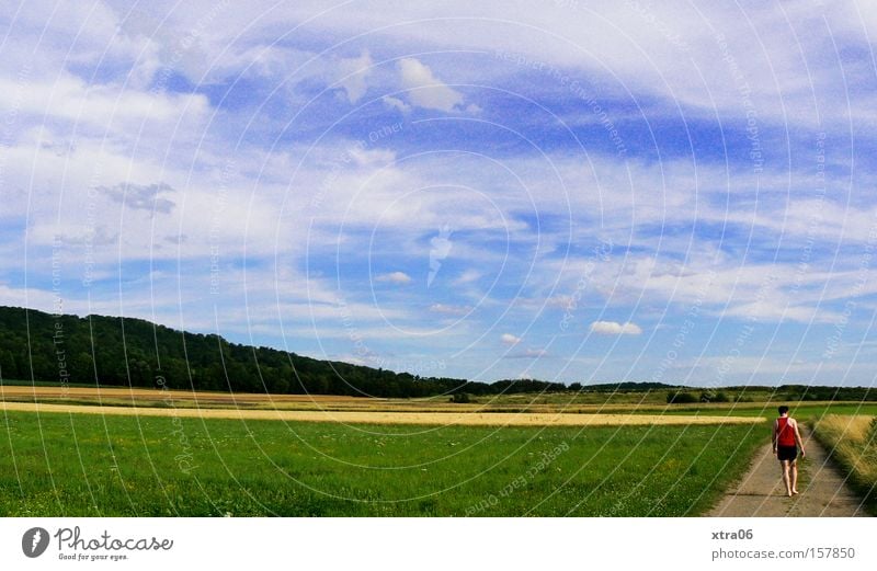 schnee? ich seh nichts Sommer Himmel Mann Wege & Pfade Spaziergang Wiese Gras laufen