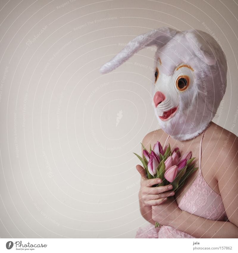 Du hast mein Hasenherz berührt Hase & Kaninchen Osterhase Ostern Karneval verkleiden Tier weiß lustig Frau Liebe Maske Kostüm Blume Freude