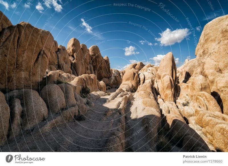 Rocky Landscape schön Sinnesorgane Erholung ruhig Ferien & Urlaub & Reisen Abenteuer Ferne Expedition Sommer Berge u. Gebirge Umwelt Natur Landschaft Urelemente