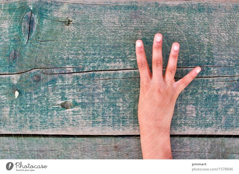 Hand, Zahlen und Holz Bildung Schule Büro Mensch Mädchen Junge Frau Erwachsene Mann Finger Baum Ring Ziffern & Zahlen alt braun grün schwarz weiß eine zwei drei