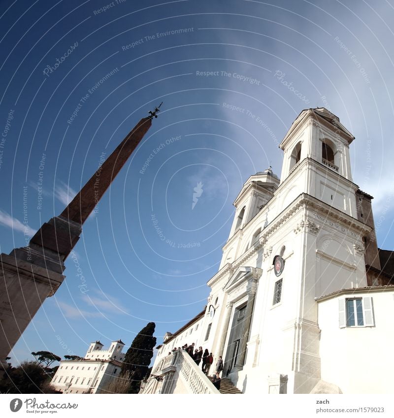 zugespitzt Ferien & Urlaub & Reisen Sightseeing Städtereise Himmel Baum Zypresse Pinie Rom Italien Stadt Hauptstadt Stadtzentrum Altstadt Kirche Dom Park Turm