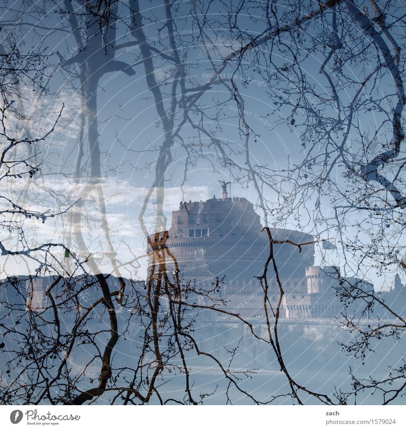 Hinterm Vorhang Ferien & Urlaub & Reisen Sightseeing Städtereise Himmel Wolken Pflanze Baum Ast Zweig Rom Italien Hauptstadt Altstadt Palast Burg oder Schloss