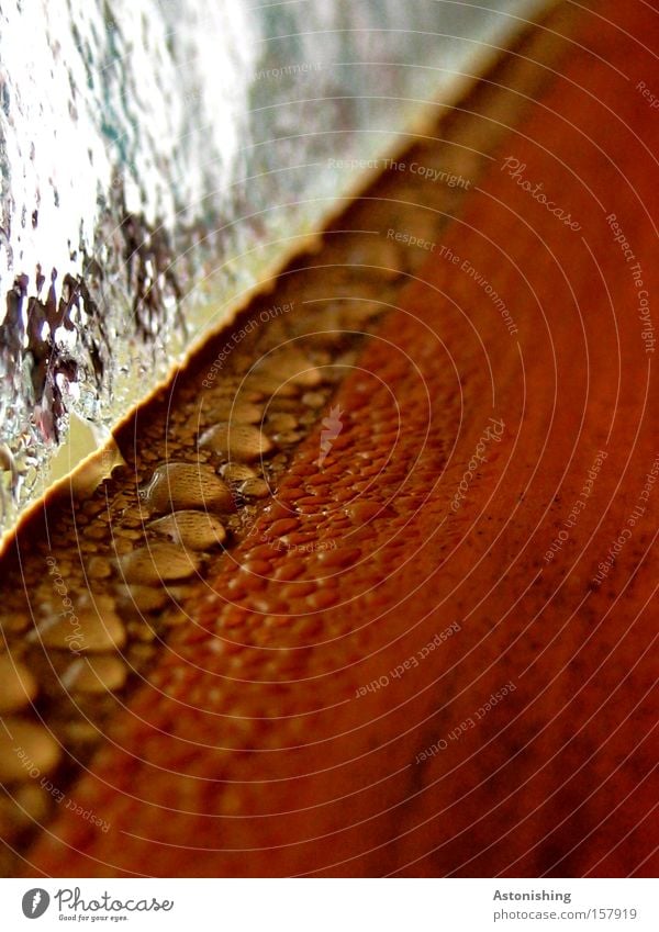 undicht? Fenster Wasser Wassertropfen Tropfen Holz braun nass feucht Perspektive Fluchtpunkt Glas Bad