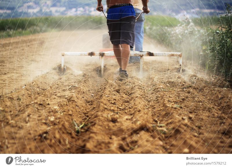 Pflügen Arbeitsplatz Landwirtschaft Forstwirtschaft 1 Mensch 18-30 Jahre Jugendliche Erwachsene Umwelt Natur Feld Arbeit & Erwerbstätigkeit braun Kraft