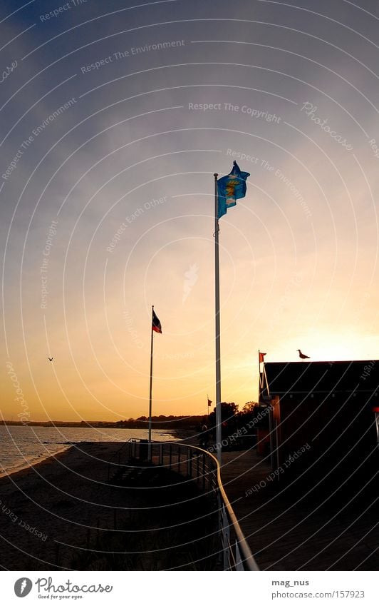 Strandspaziergang Meer See Himmel Hütte Haus Fahne Möwe Frieden ruhig Sonne Küste Wärme