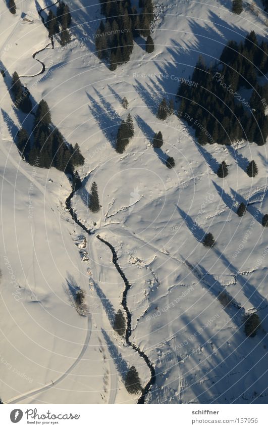 Vogel guckt runter III Schwarzwald Vogelperspektive Schnee Baum Tanne Schatten Bach kalt Mittelgebirge Aussicht Flugzeug Landschaft Tal Winter