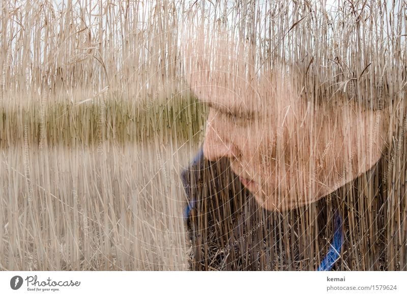 Selbstportrait | Stroh im Kopf Mensch feminin Frau Erwachsene Leben Gesicht 1 30-45 Jahre Umwelt Nutzpflanze Feld Denken Blick träumen Gelassenheit ruhig