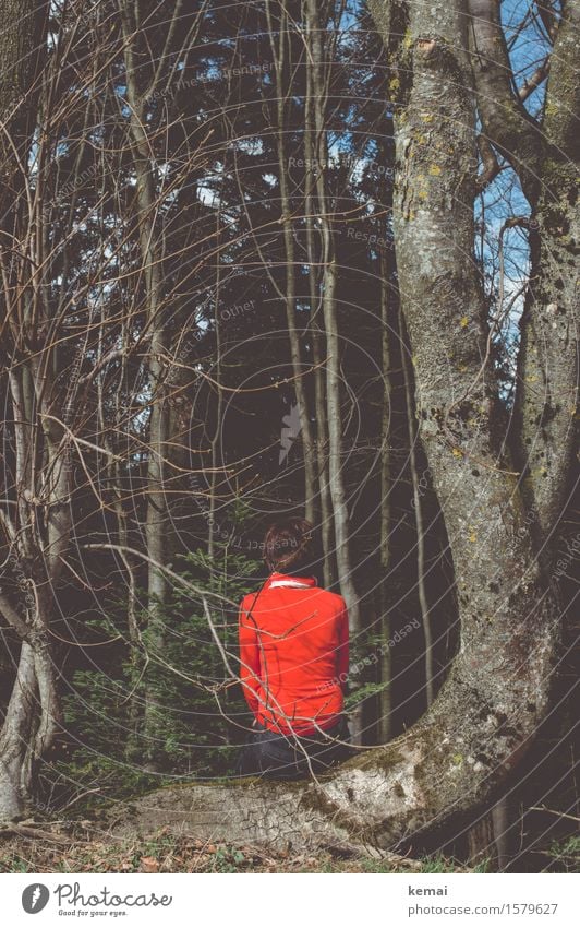 Schwarz sehen, rot anziehen elegant Stil Freiheit Mensch feminin Frau Erwachsene Leben Rücken 1 Umwelt Sonnenlicht Schönes Wetter Baum Zweig Wald schwarzhaarig