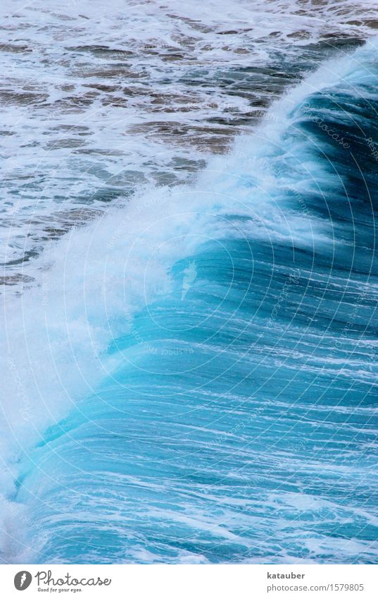 Brandung Landschaft Urelemente Wasser Wassertropfen Sommer Wind Sturm Wellen Küste Meer Aggression bedrohlich Flüssigkeit maritim braun türkis Fernweh