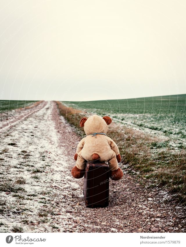 Vorwärts.... Freizeit & Hobby Natur Landschaft Winter schlechtes Wetter Eis Frost Feld Straße Wege & Pfade Koffer Spielzeug Teddybär Stofftiere Zeichen