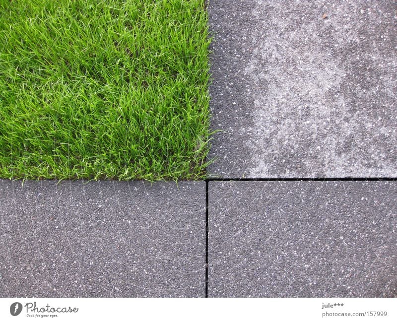 gevierteilt Gras grün grau Beton Asphalt Rechteck Vergänglichkeit Garten Park Rasen englischer Rasen Naturzerstörung geometrische Formen