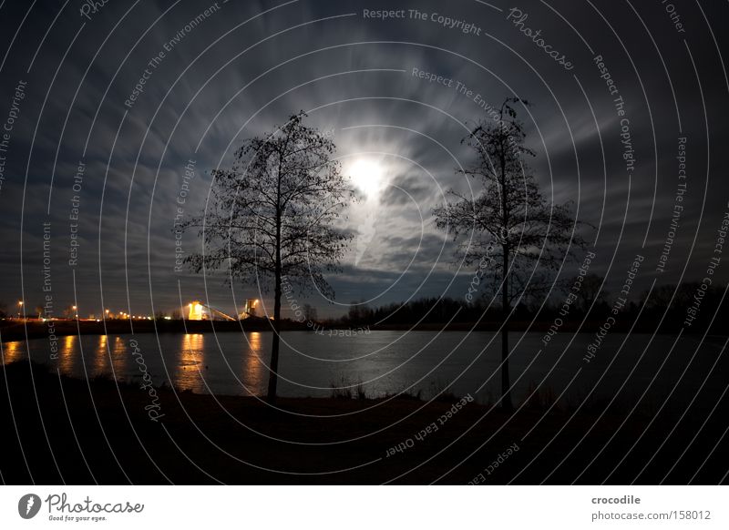 Mondschein überm See Stern (Symbol) Nacht Winter kalt Romantik Bayern gefroren Kieswerk Baggersee Eis Baum dunkel Wolken Langzeitbelichtung schön