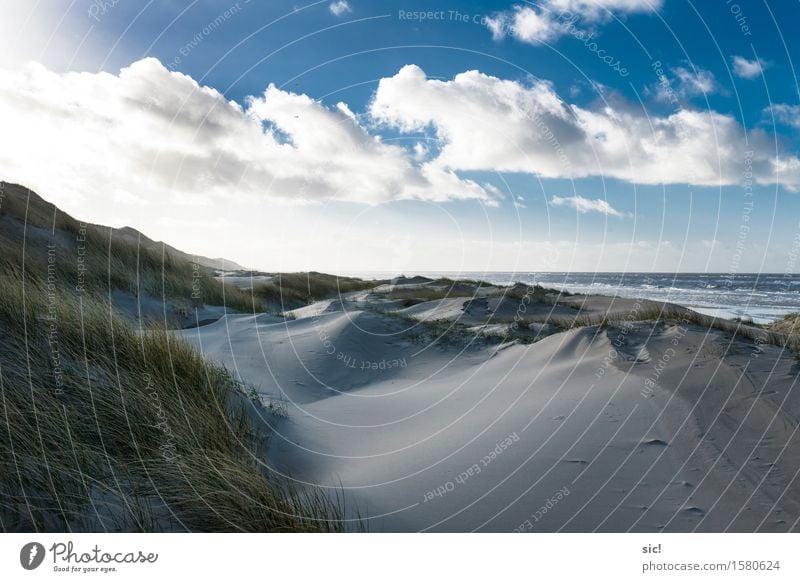 Aan Zee Ferien & Urlaub & Reisen Tourismus Strand Meer Landschaft Sand Wasser Wolken Sonnenlicht Gras Küste Nordsee Bergen aan Zee Niederlande kalt maritim