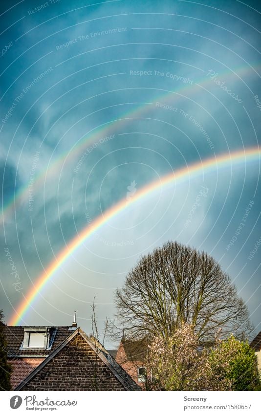 Somewhere under the rainbow | 600 Natur Pflanze Himmel Sonnenlicht Frühling Regen Baum Dorf Haus Dach Dachrinne rund mehrfarbig Glück Zufriedenheit