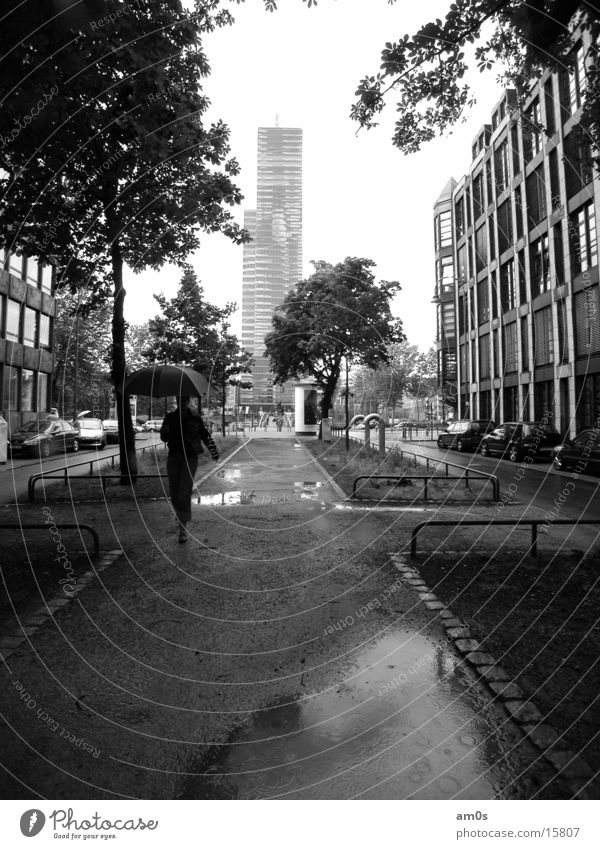 Köln Mediapark Hochhaus Haus Frau Regenschirm nass Baum Gasse Architektur Dame Wasser