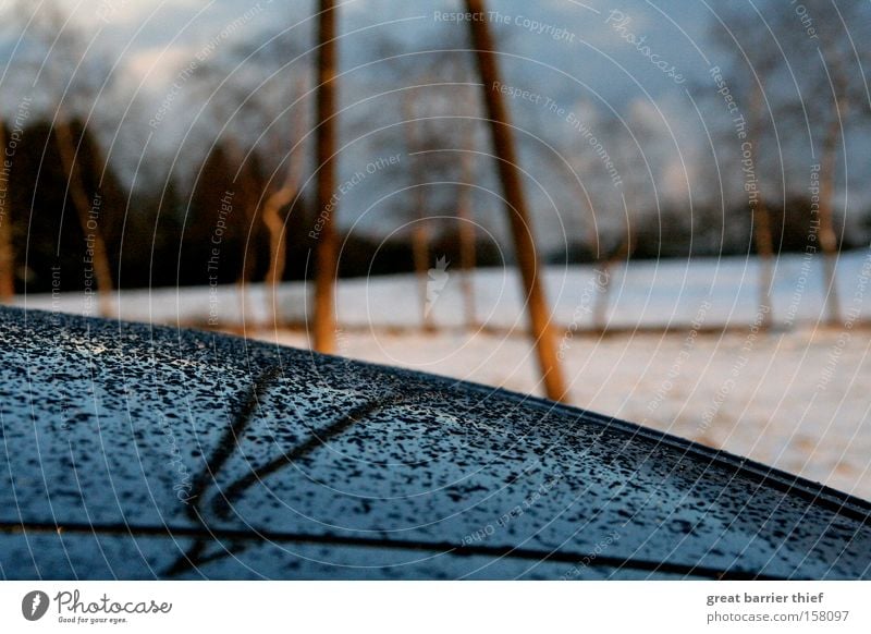 Spiegeltropfen KFZ Dach Wassertropfen Elektrizität blau Schnee Regen Einsamkeit Baum Himmel Wolken Makroaufnahme Nahaufnahme Winter PKW Traurigkeit