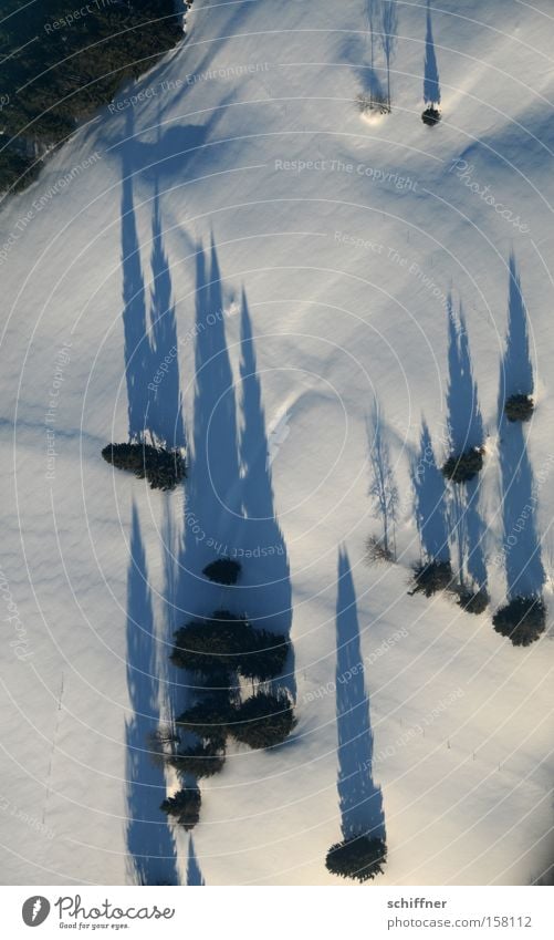 Vogel guckt runter IV Schwarzwald Vogelperspektive Schnee Baum Tanne Schatten Tal Linie gerade diagonal Winter kalt Mittelgebirge Aussicht Flugzeug Landschaft