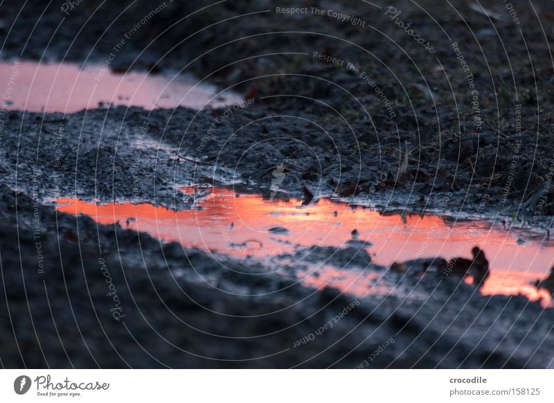 Himmelstor Sonnenuntergang Pfütze Wasser Reflexion & Spiegelung dreckig Feld Fußweg Abenddämmerung rot orange schön Fluss Bach Illusion