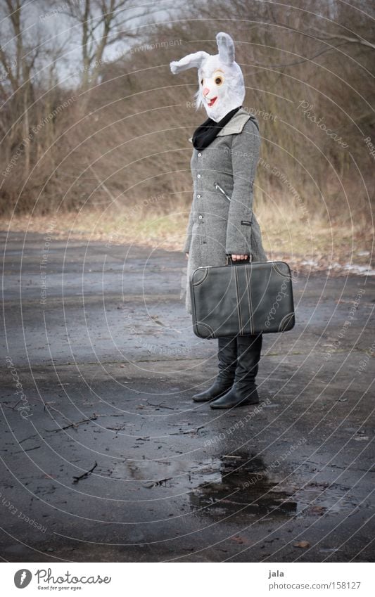 zu früh Gedeckte Farben Außenaufnahme Tag Porträt Freude Winter Karneval Ostern Frau Erwachsene Natur Tier Koffer Maske warten lustig weiß Hase & Kaninchen