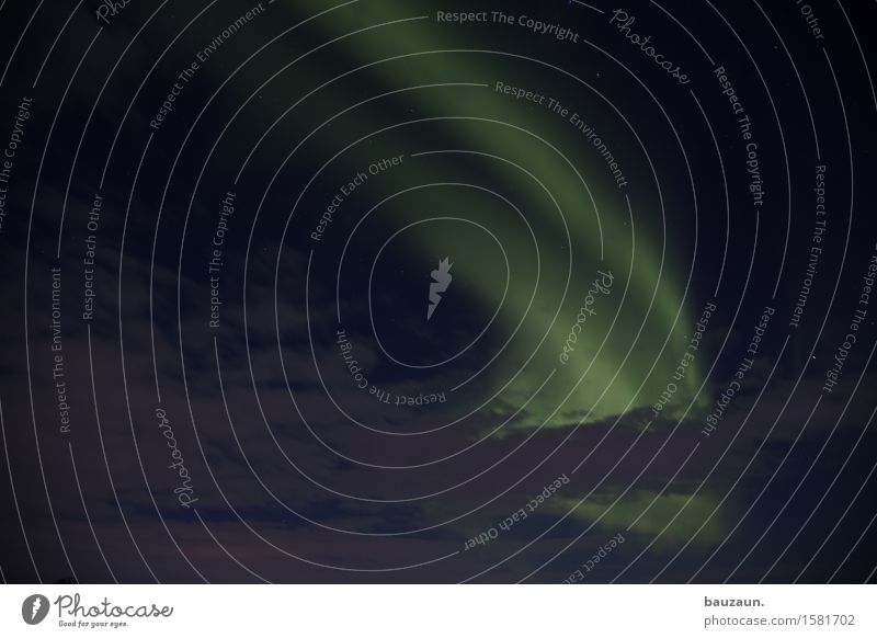 \. Ferien & Urlaub & Reisen Tourismus Ausflug Abenteuer Ferne Freiheit Expedition Winter Umwelt Natur Himmel Wolken Stern Wetter Schönes Wetter Nordlicht Island