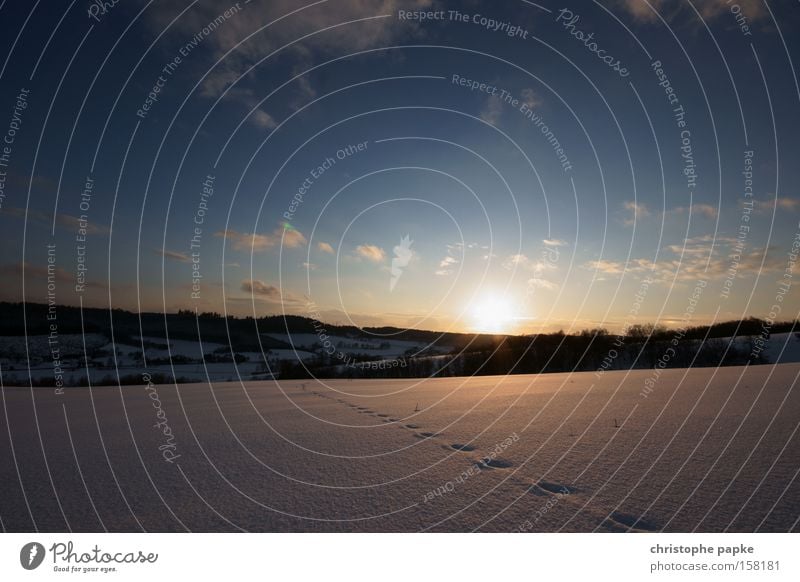 Spuren im Schnee Farbfoto Außenaufnahme Menschenleer Textfreiraum oben Abend Dämmerung Sonnenstrahlen Sonnenaufgang Sonnenuntergang Zentralperspektive Winter