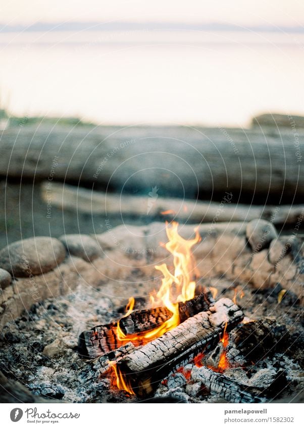 Lagerfeuer am Strand Lifestyle ruhig Ferien & Urlaub & Reisen Camping Sommer Sommerurlaub Meer Insel Feuer Küste authentisch braun gelb grau orange schwarz