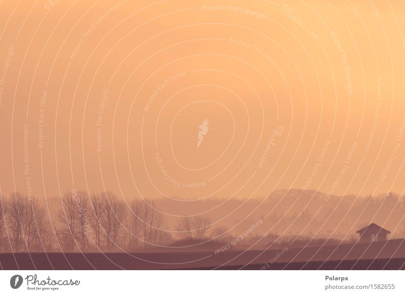 Bauernhaus auf einem nebelhaften Feld Sommer Sonne Haus Natur Landschaft Pflanze Himmel Horizont Wetter Nebel Gras Wiese Wald Hügel Hütte hell gelb Farbe Idylle