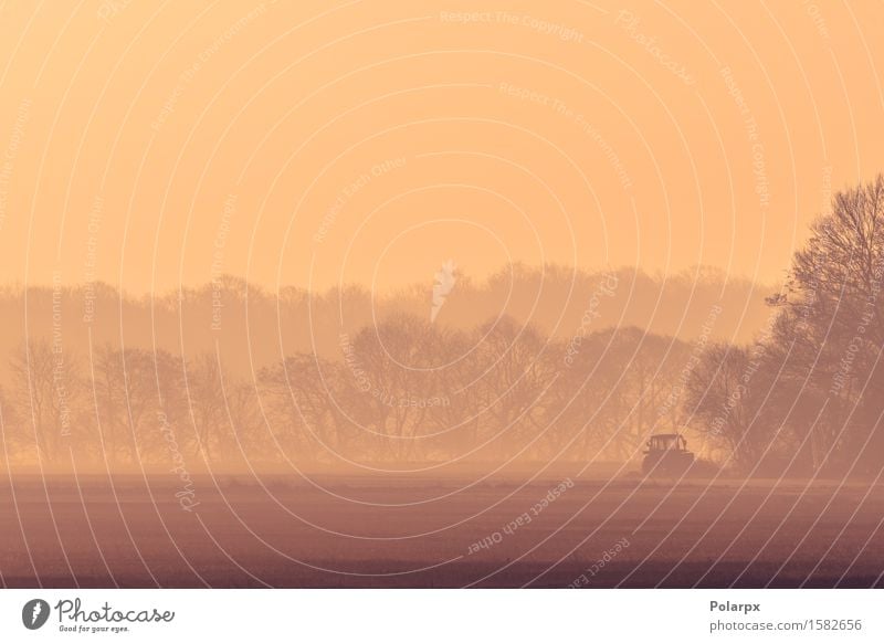 Nebligen Morgen mit einem Traktor auf einem Feld schön Leben Sonne Arbeit & Erwerbstätigkeit Industrie Maschine Umwelt Natur Landschaft Erde Herbst Nebel Wiese