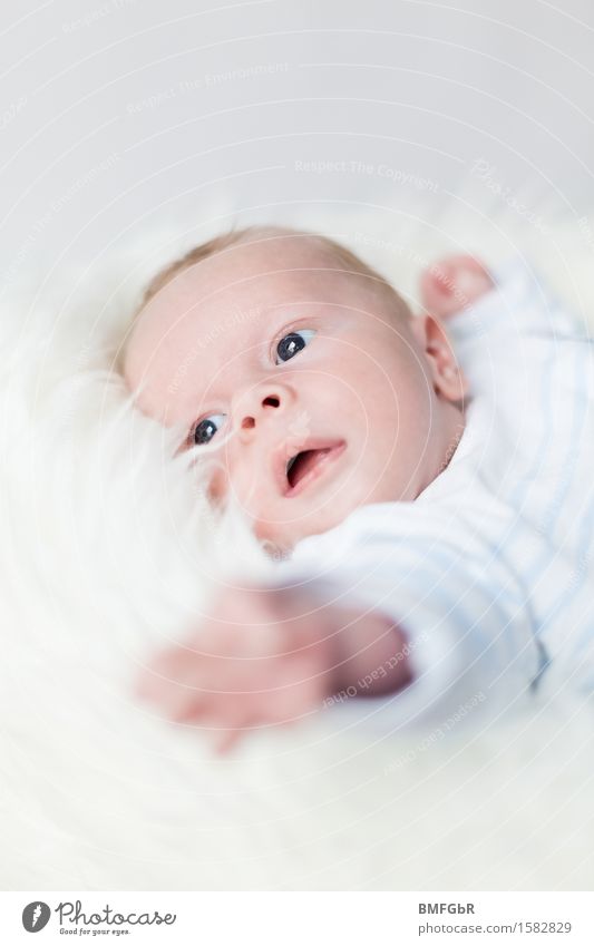 Haben will.... Glück Mensch maskulin Kind Baby Kleinkind Kindheit Leben 1 0-12 Monate liegen kuschlig klein positiv weiß Gefühle Fröhlichkeit Zufriedenheit